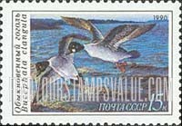 FindYourStampsValue: Russia: USSR, Duck Conservation - Bucephala Clangula