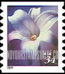 FindYourStampsValue: FLOWERS - Longiflorum, Self-Adhesive Coil Stamp