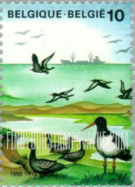 FindYourStampsValue: The Sea: Shore, birds
