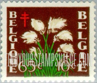 FindYourStampsValue: Semi-Postal: Cotton Grass