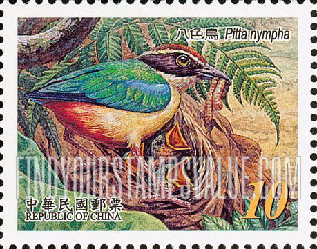 FindYourStampsValue: Pitta Nympha with young at nest - 与年轻鸟的八色鸟在巢