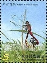 FindYourStampsValue: Dragonflies: Sympetrum eroticu ardens - 蜻蜓: 池塘蜻蜓: 焰红蜻蜓