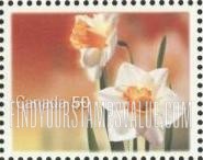FindYourStampsValue: Daffodils: White daffodils