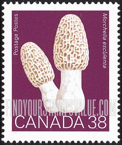 FindYourStampsValue: Mushrooms: Morchella esculenta