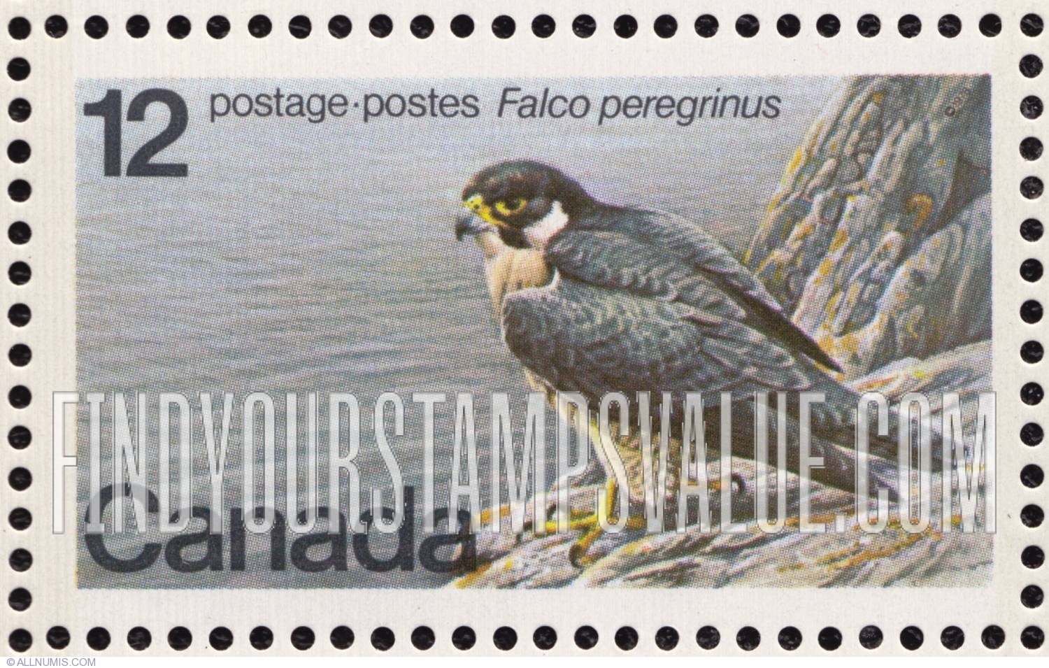 FindYourStampsValue: Peregrine Falcon