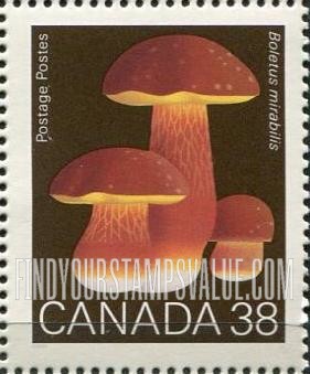 FindYourStampsValue: Mushrooms: Boletus mirabilis