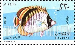 FindYourStampsValue: 50th anniversary of Al-Ghardaka Marine Biological Station - الذكرى السنوية الخمسون لمحطة الغردقة البحرية البيولوجية