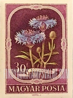 FindYourStampsValue: Cornflower