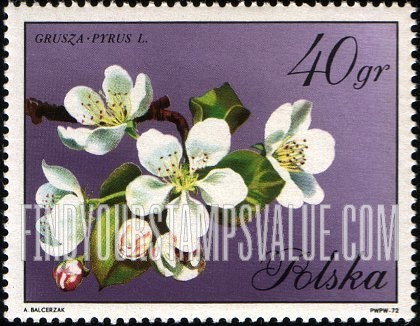 FindYourStampsValue: Blossoms: Pear