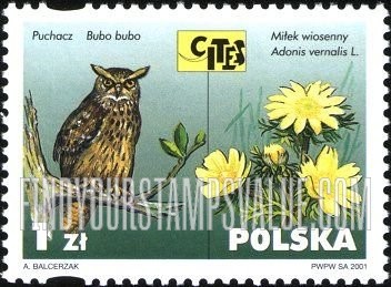 FindYourStampsValue: Endangered Flora and Fauna: Bubo bubo, Adonis vernalis