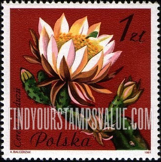 FindYourStampsValue: Flowering Succulent Plants: Cereus tonduzii