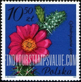 FindYourStampsValue: Flowering Succulent Plants: Cylindropuntia spinosior