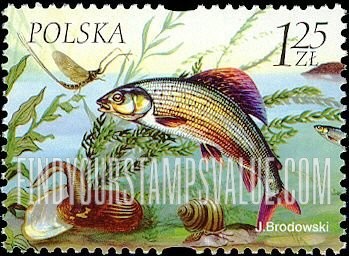 FindYourStampsValue: Flora and Fauna in Reservoirs: Grayling, leech, mussel, snail