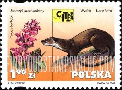 FindYourStampsValue: Endangered Flora and Fauna: Orchis latifolia, Lutra lutra