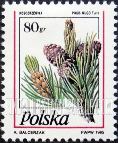 FindYourStampsValue: Pinecone Type of 1991: Pinus mugo