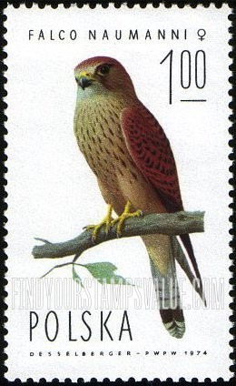 FindYourStampsValue: Lesser kestrel, female