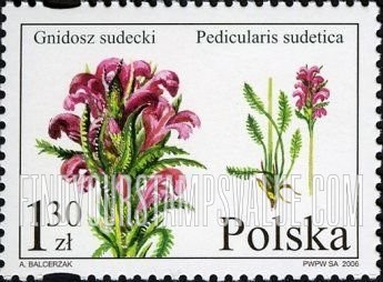 FindYourStampsValue: Endangered Flora: Pedicularis sudetica
