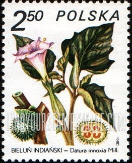FindYourStampsValue: Medicinal plants: Datura innoxia