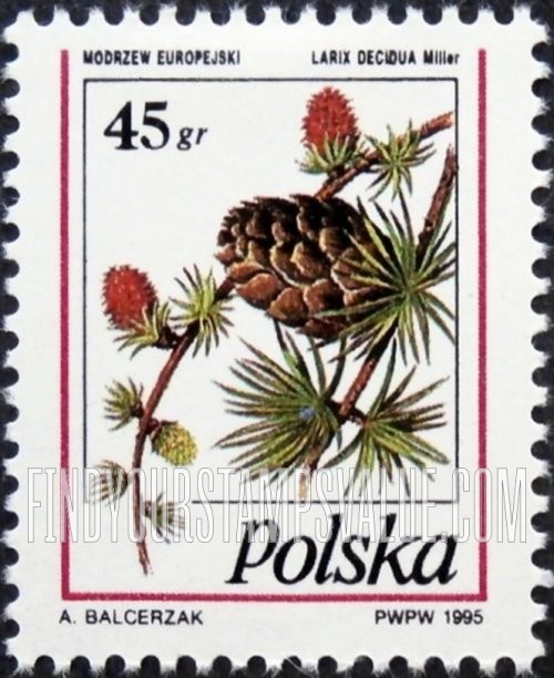 FindYourStampsValue: Pinecone Type of 1991: Larix decidua
