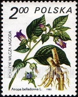FindYourStampsValue: Medicinal plants: Atropa belladonna