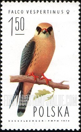 FindYourStampsValue: Red-footed falcon, female