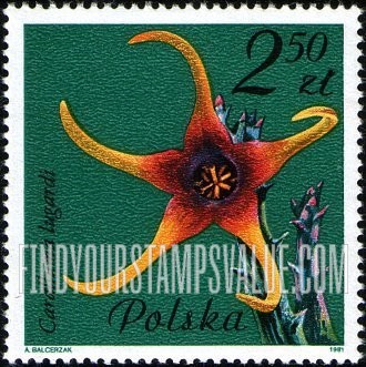 FindYourStampsValue: Flowering Succulent Plants: Caralluma lugardi