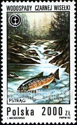 FindYourStampsValue: Waterfalls: Pstrag (trout)