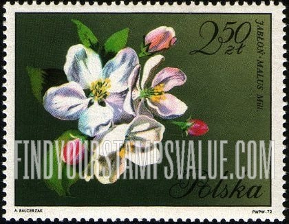 FindYourStampsValue: Blossoms: Apple