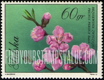 FindYourStampsValue: Blossoms: Peach