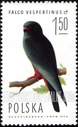 FindYourStampsValue: Red-footed falcon, male
