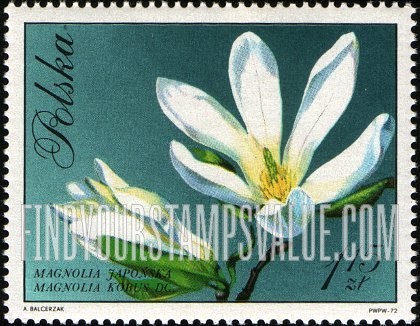 FindYourStampsValue: Blossoms: Japanese magnolia