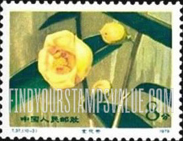FindYourStampsValue: Camellias: Camellia chryantha - 山茶花:金花茶