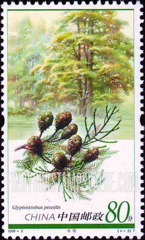 FindYourStampsValue: Relic Plants: Glyptostrobus pensilis - 孑遗植物: 水松