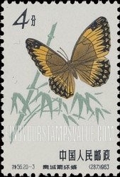 FindYourStampsValue: Butterfly: Neumogeni jungle queen - 蝴蝶: 青城箭环蝶