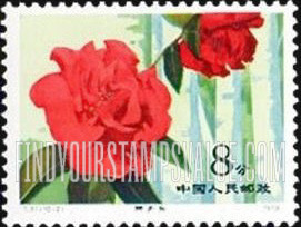 FindYourStampsValue: Camellias: Lion head - 山茶花:狮子头