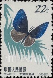 FindYourStampsValue: Butterfly: Blue-banded king crow - 蝴蝶:  天蓝纹紫蝶