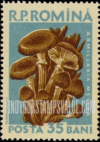 FindYourStampsValue: Mushrooms: Armillaria mellea
