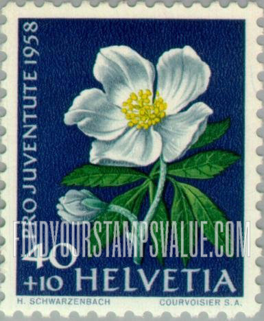 FindYourStampsValue: Semi-Postal, Flowers: Christmas rose