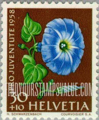 FindYourStampsValue: Semi-Postal, Flowers: Morning glory