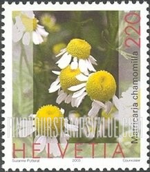 FindYourStampsValue: Federal Administration, Medicinal Plants: Matricaria chamomilla