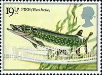 FindYourStampsValue: Great Britain (United Kingdom): River Fish - Pike