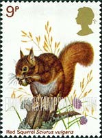 FindYourStampsValue: Great Britain (United Kingdom): Wildlife Protection - Red Squirrel
