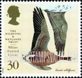 FindYourStampsValue: Great Britain (United Kingdom): Wildfowl and Wetlands Trust, 50th Anniversary - White-fronted Goose