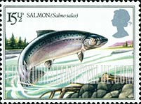 FindYourStampsValue: Great Britain (United Kingdom): River Fish - Salmon