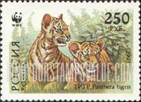 FindYourStampsValue: Russia: Russian Federation, World Wildlife Fund, Ussurian Tigers - Two Cubs