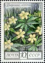 FindYourStampsValue: Russia: USSR, Regional Flowers - Buttercups, Oak Forest