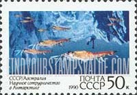 FindYourStampsValue: Russia: USSR, Soviet-Australian Cooperation in Antarctic Research - Krill