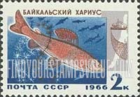 FindYourStampsValue: Russia: USSR, Fish Resources of Lake Baikal - Grayling