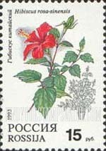 FindYourStampsValue: Russia: Russian Federation, Flowers - Hibiscus Rosa-sinensis