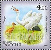 FindYourStampsValue: Russia: Russian Federation, Fauna of Sakha Republic - Grus Leucogeranus